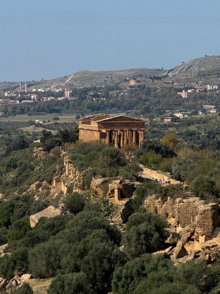 op shop formal dresses